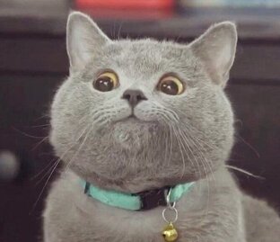 Забавные видео 