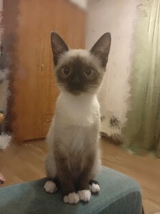 Из книги У. и М. Сирс "Ребенок от рождения до двух лет"