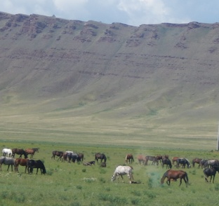 СЛОЙ ОПЕРАЦИОННОГО УПРАВЛЕНИЯ   