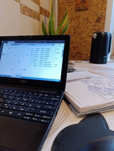 Ведические гороскопы.