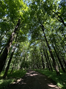 Парки Петербурга