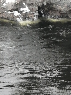 РЕКА - МАТУШКА. 22.03.2025 Г. 