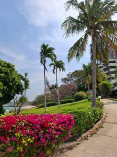 Творения природы. 