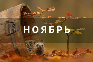 Таро прогноз на ноябрь 2024