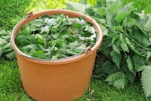 Удобрения для цветения и плодоношения