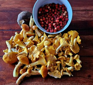 Грибная охота