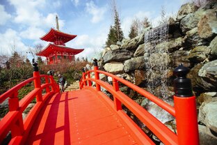 Японский сад Краснодар