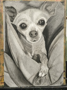 Рисунок. Мое творчество. Моя учеба.