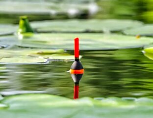 ПОПЛАВОЧНАЯ УДОЧКА: ловля почти любой рыбы с поплавком