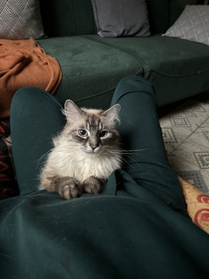 Гостиная как в Pinterest