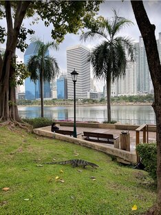 Бангкок. Таиланд