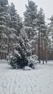 Ответы на вопросы читателей 