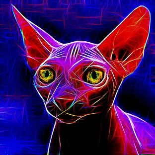 Клички кошек от А до Я