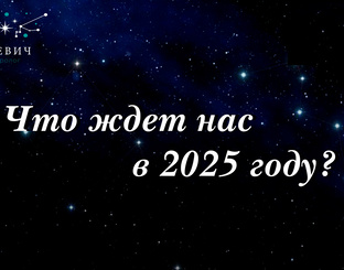 2025 год