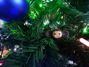 Новый 2025 год.