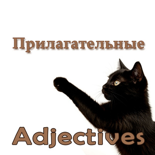 Прилагательные.