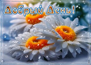 Лайфстайл