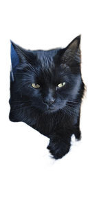 МНЯМ В КАДРЕ 