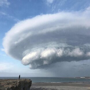 Англия. Остров в клетке