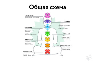 Чакры общее