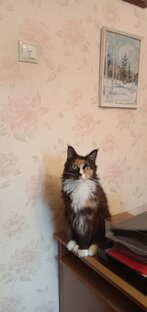 Рассказы