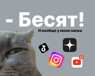 Развить блог, продвижение . Smm