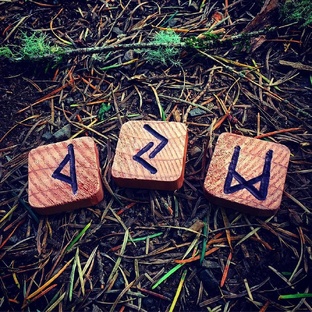 Руно прогнозы видео