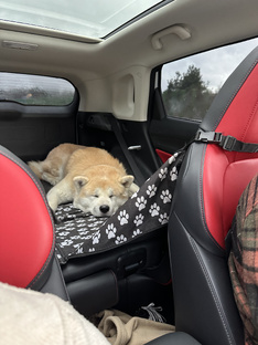 Путешествия