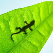 Презентации для школы техникумов