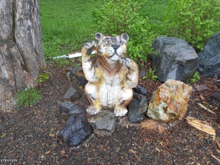 Дальний Восток.