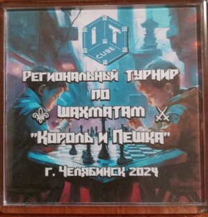 Шахматы.