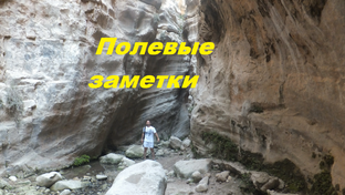 Репортажи с полей