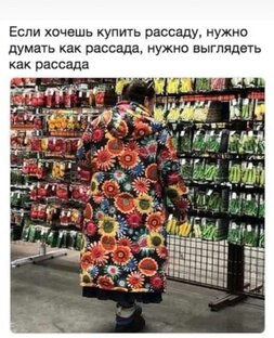 Семена