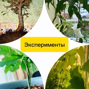 Эксперименты