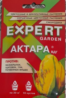 Вредители роз. Препараты для защиты.