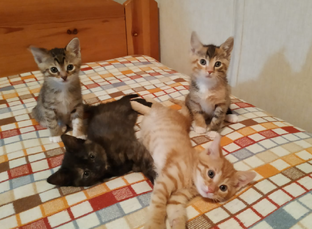 Учителя - тоже люди