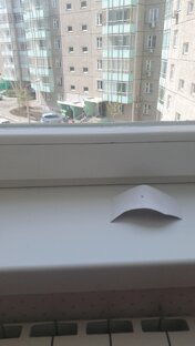 Павук Аркадий и я)))