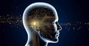 Мудрый ум 55+