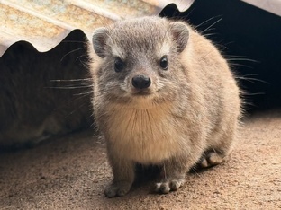 МАТЕМАТИЧЕСКАЯ ВЕРТИКАЛЬ