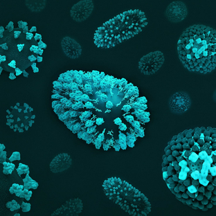 Все о герпетических вирусах