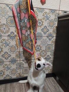 Мальчик-хулиганик! 