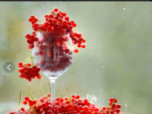 Полезное в быту