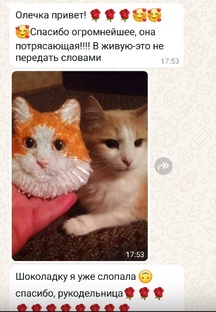 Отзывы