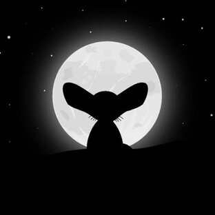 Desert Fox games