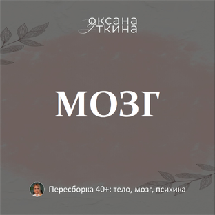 Мозг