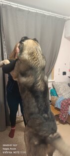 Моя жизнь и все что с ней связано