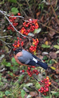 Короткие истории