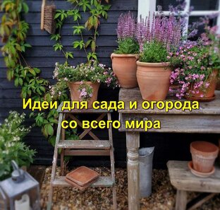 Идеи для сада и огорода