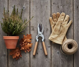 Готовим Сад к Зиме