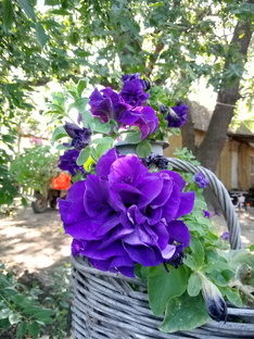 Зарисовки красоты!